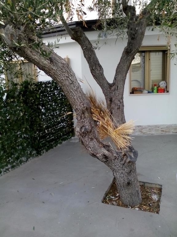 Marechiaro Βίλα Foce Varano Εξωτερικό φωτογραφία